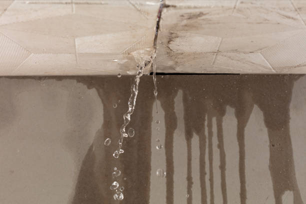 Professional Sewage Cleanup technician working in Springfield, MO